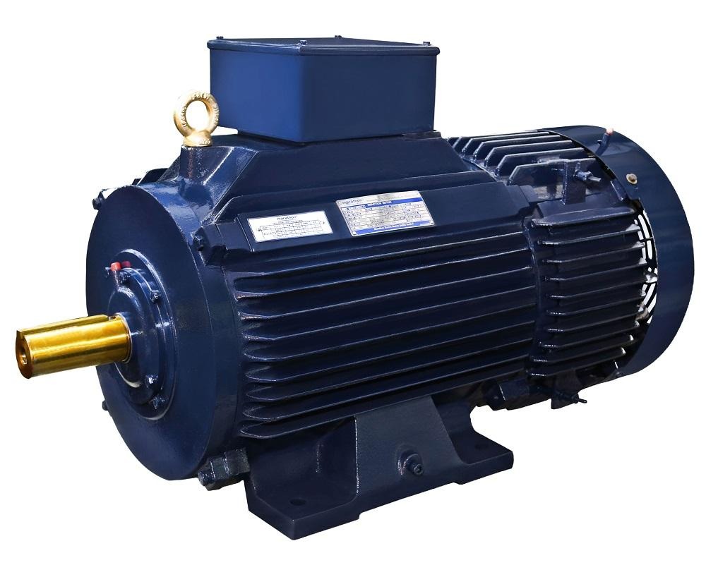 Marathon TerraMAX IE2