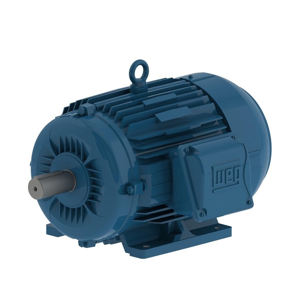 WEG Electric Motors